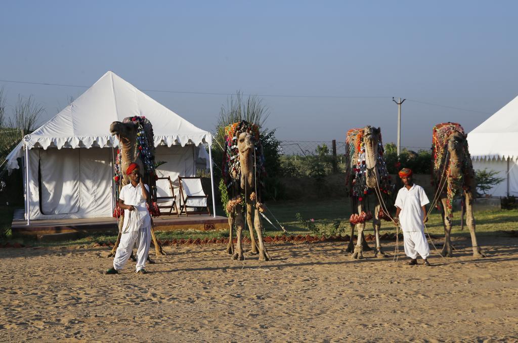 Pushkar Adventure Desert Camp Exterior photo